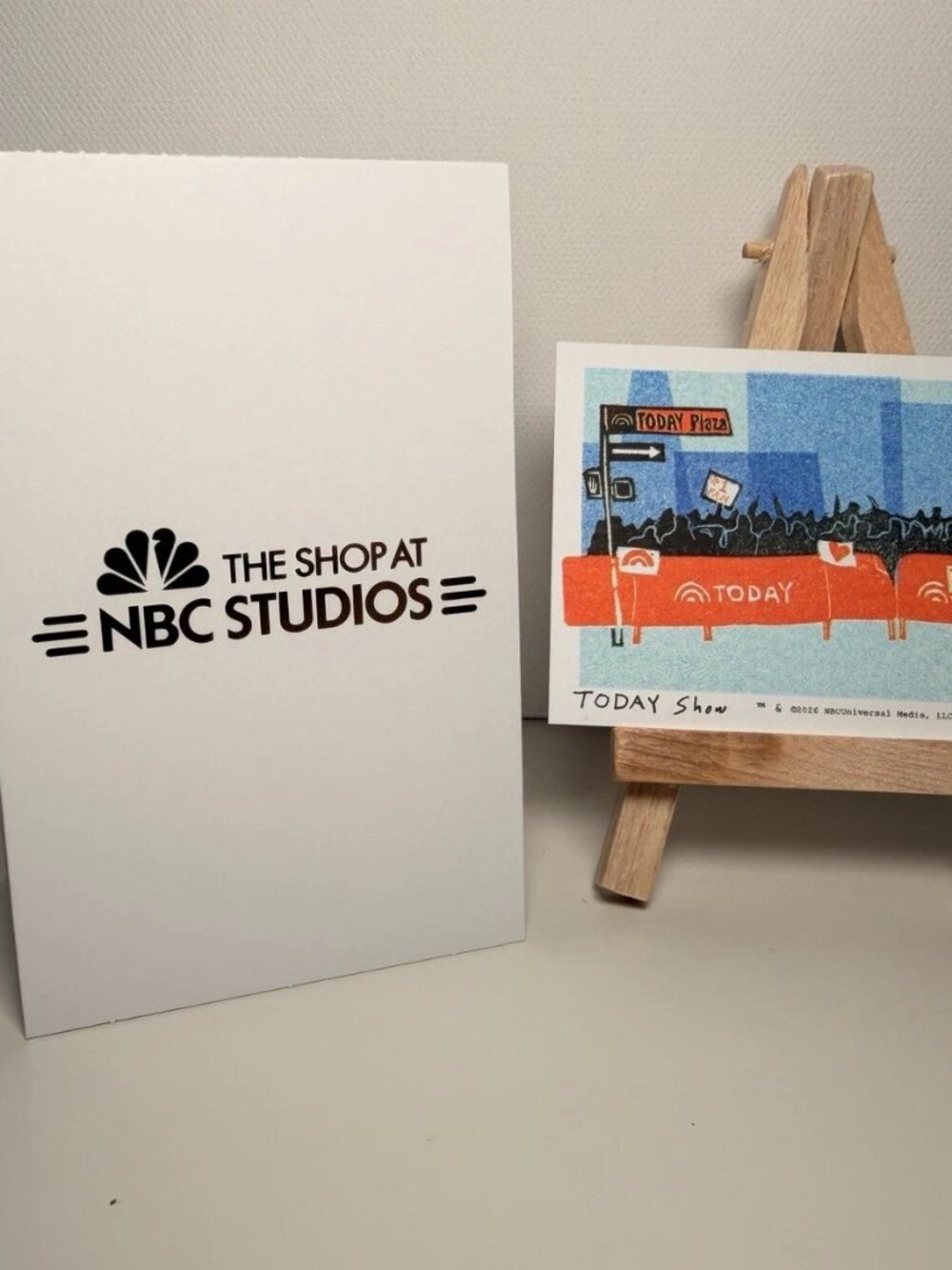 Ana Inciardi TODAY Show Mini Art Print
